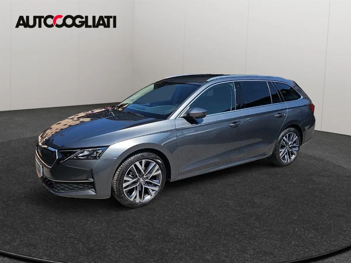 Skoda Octavia Station Wagon usata a Lecco (4)