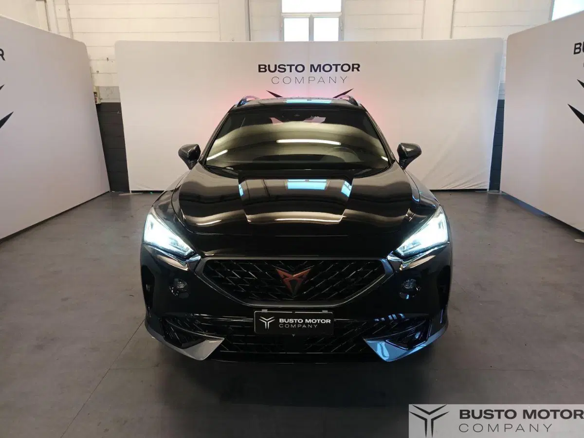 Cupra Formentor usata a Varese (2)