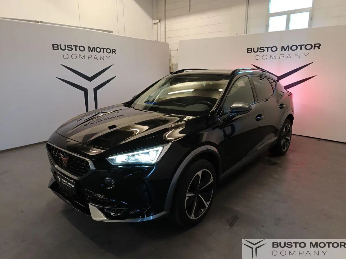 Cupra Formentor usata a Varese (3)