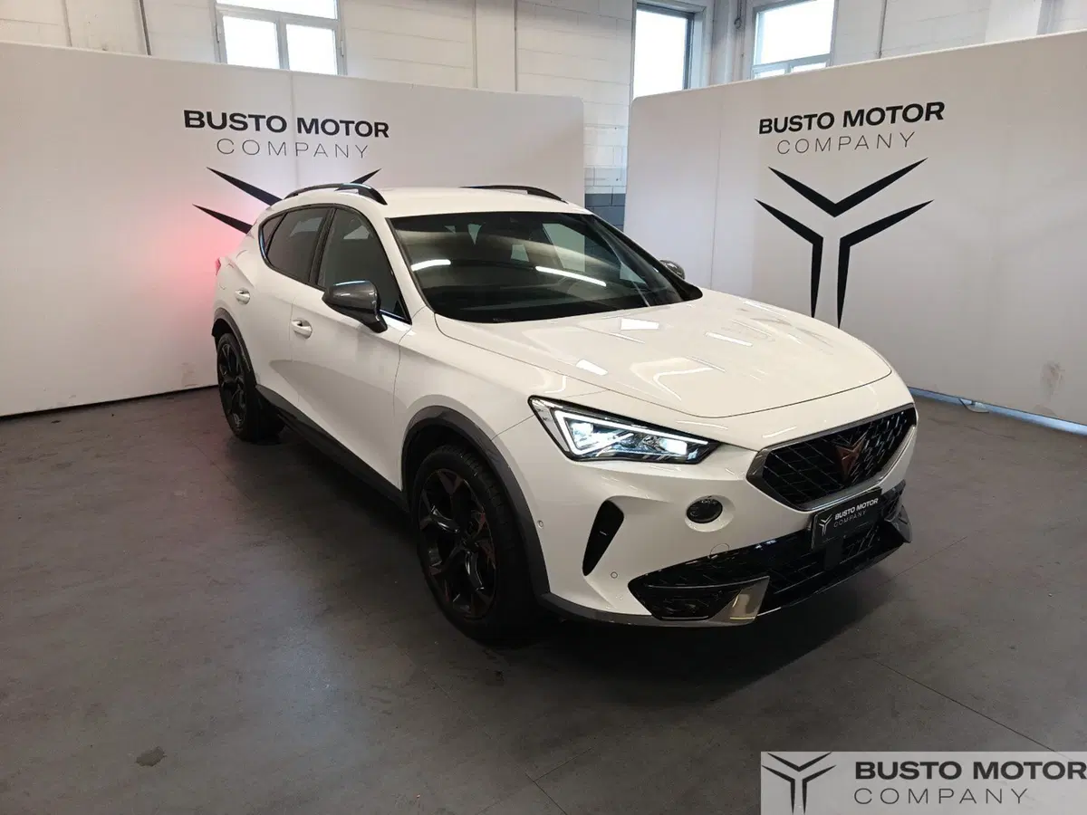 Cupra Formentor usata a Varese