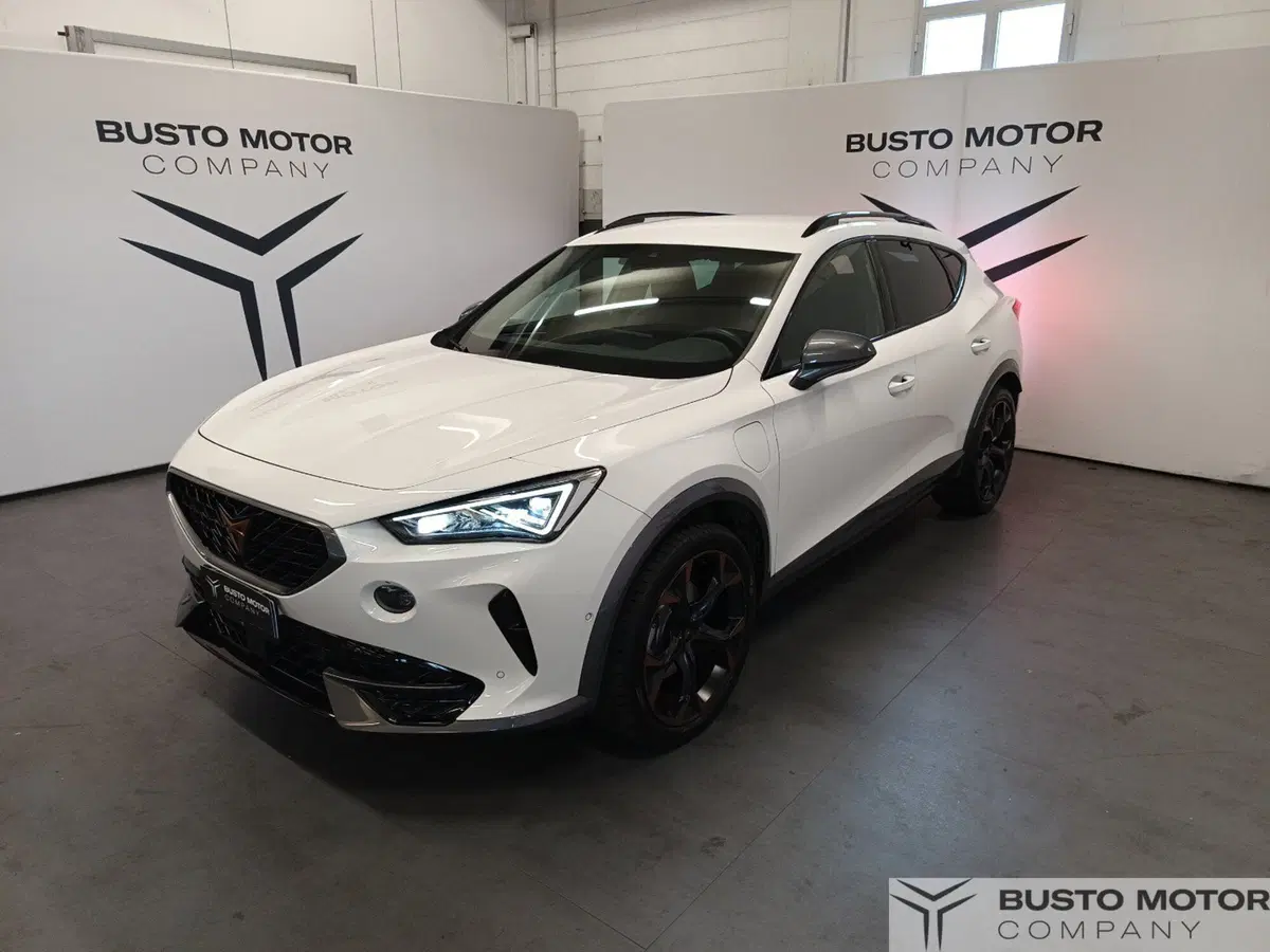 Cupra Formentor usata a Varese (3)