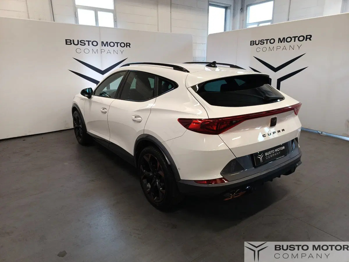 Cupra Formentor usata a Varese (4)