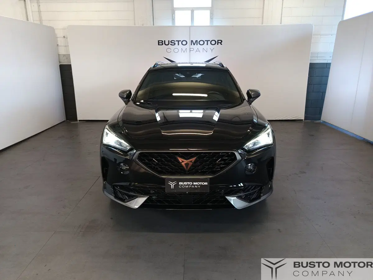 Cupra Formentor usata a Varese (2)
