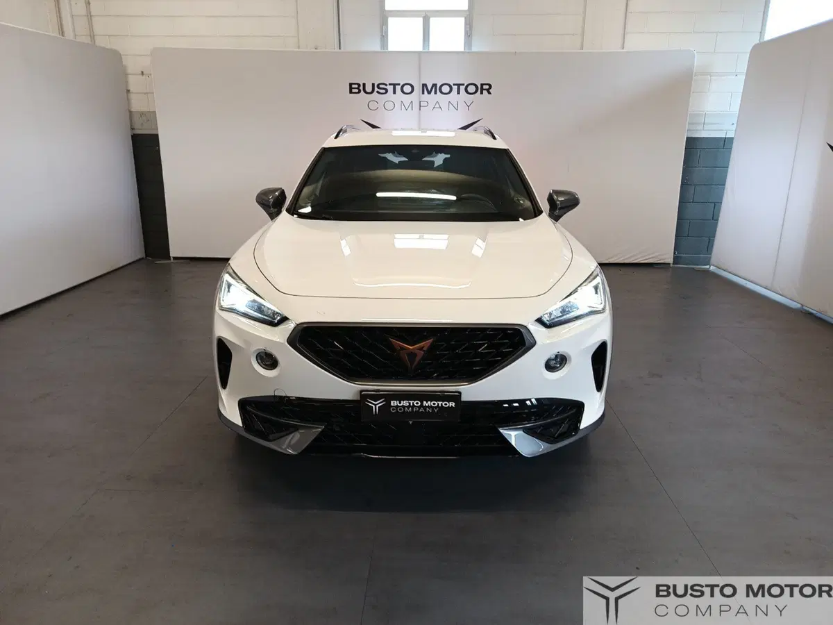 Cupra Formentor usata a Varese (2)