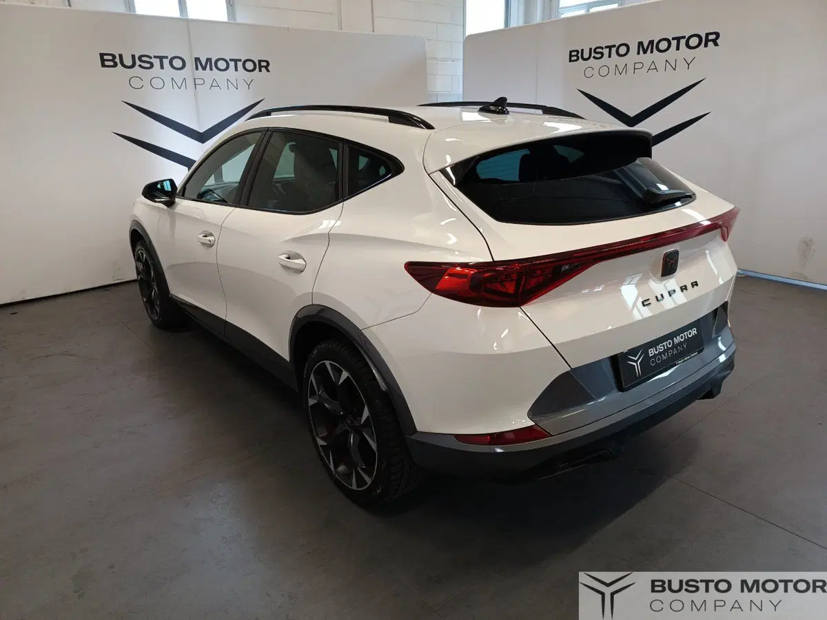 Cupra Formentor usata a Varese (6)