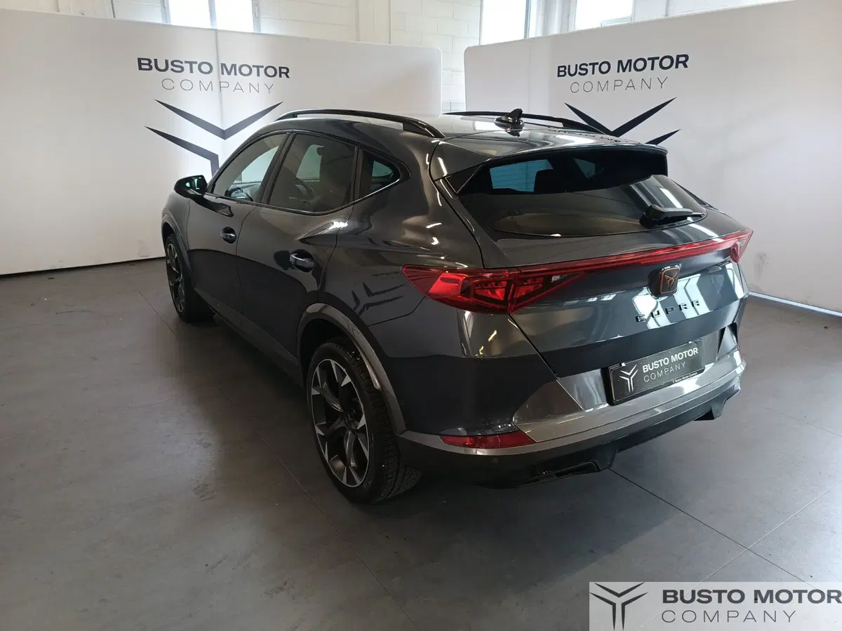 Cupra Formentor usata a Varese (6)