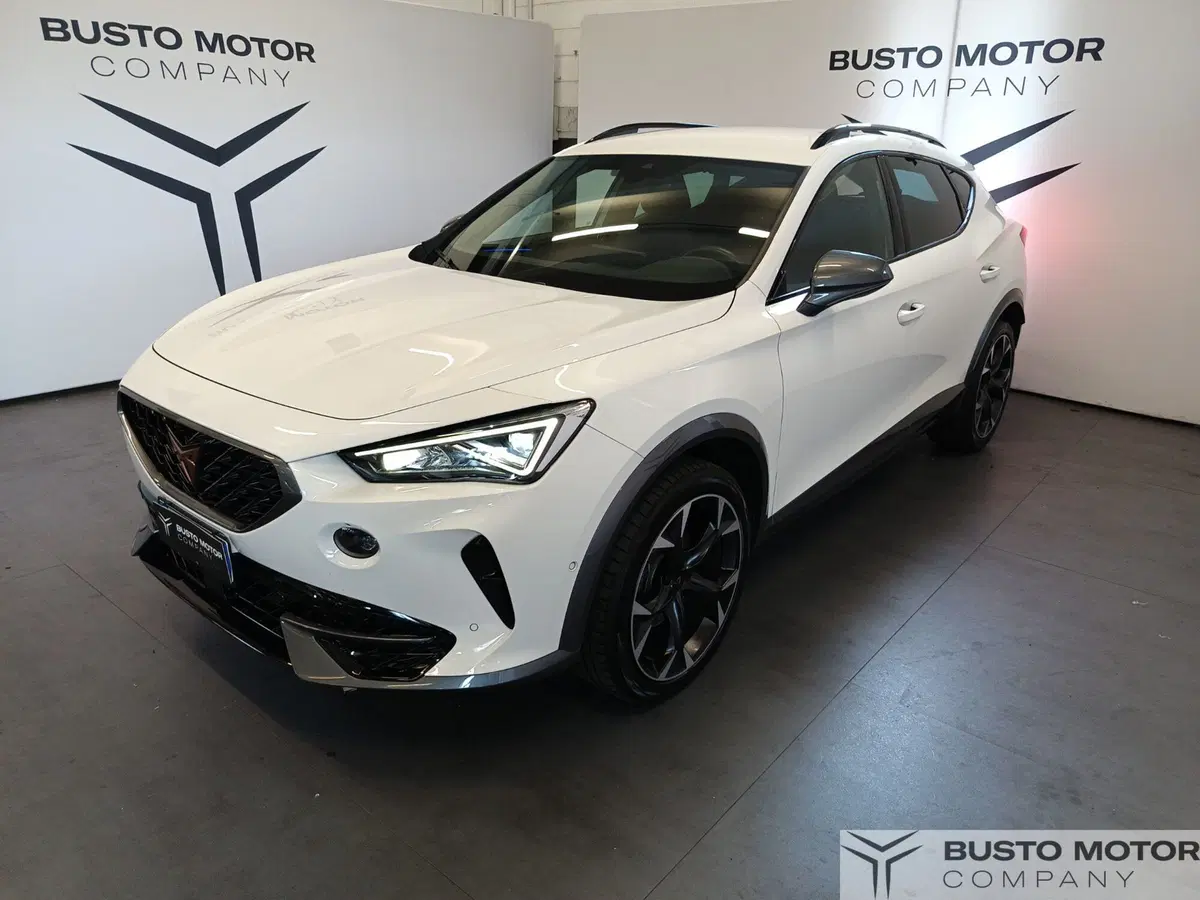 Cupra Formentor usata a Varese (3)