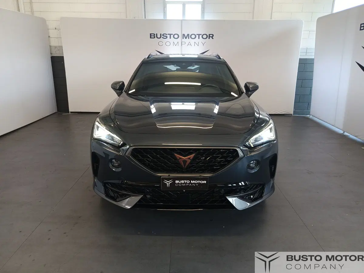 Cupra Formentor usata a Varese (2)