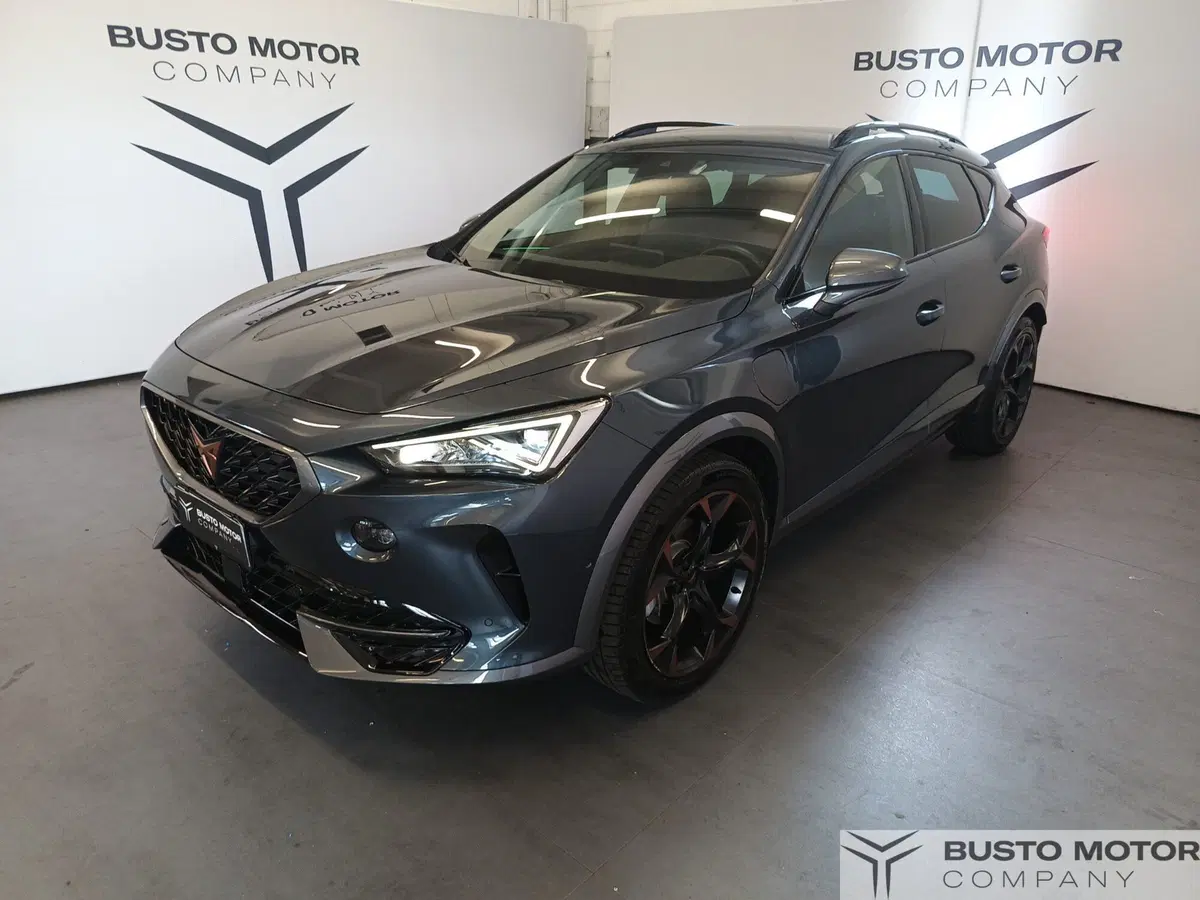 Cupra Formentor usata a Varese (3)