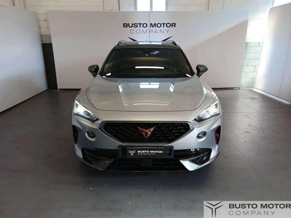 Cupra Formentor usata a Varese (2)