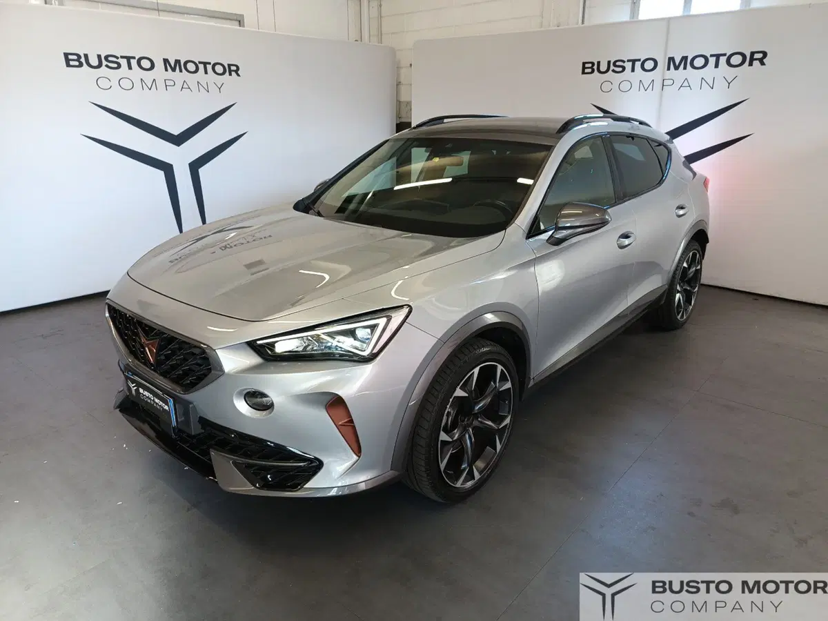 Cupra Formentor usata a Varese (3)