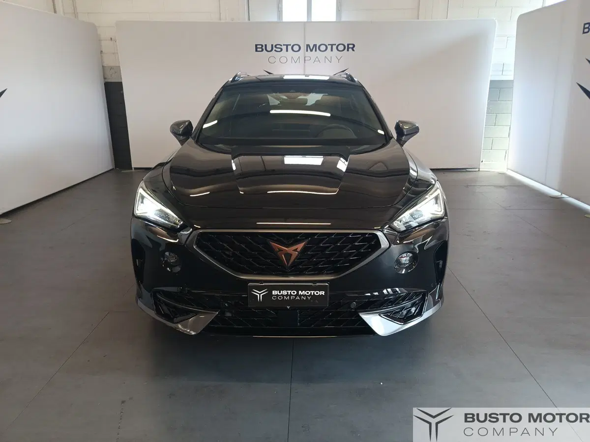 Cupra Formentor usata a Varese (2)