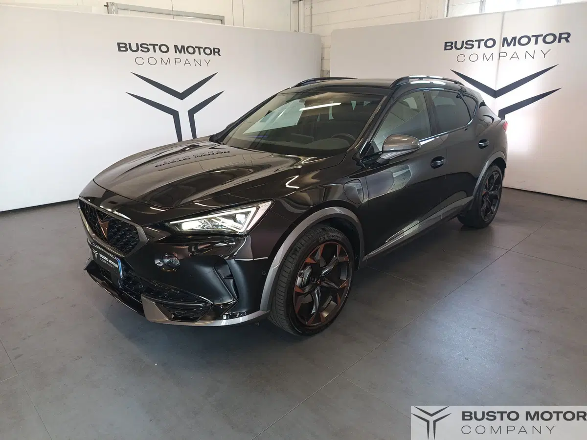 Cupra Formentor usata a Varese (3)