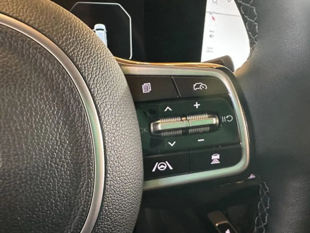 Kia Sorento usata a Vicenza (19)