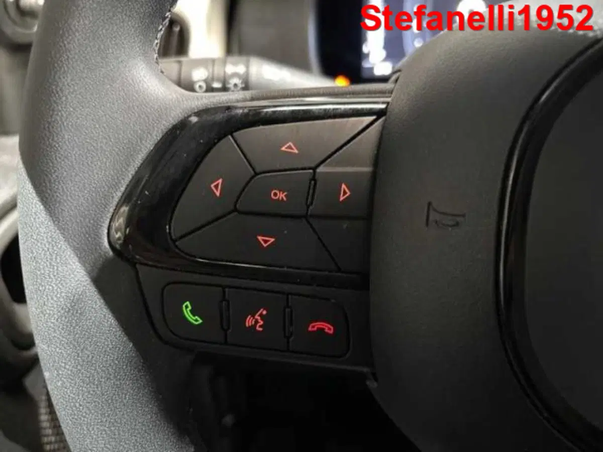 Fiat Pandina usata a Bologna (20)
