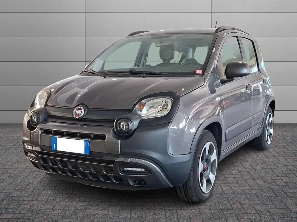 Fiat Panda usata a Torino