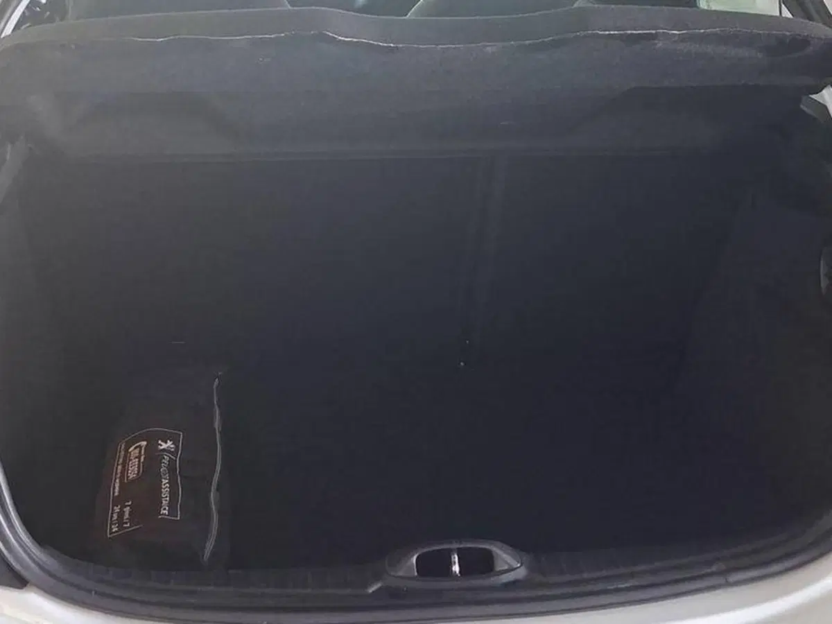 Peugeot 208 usata a Torino (12)