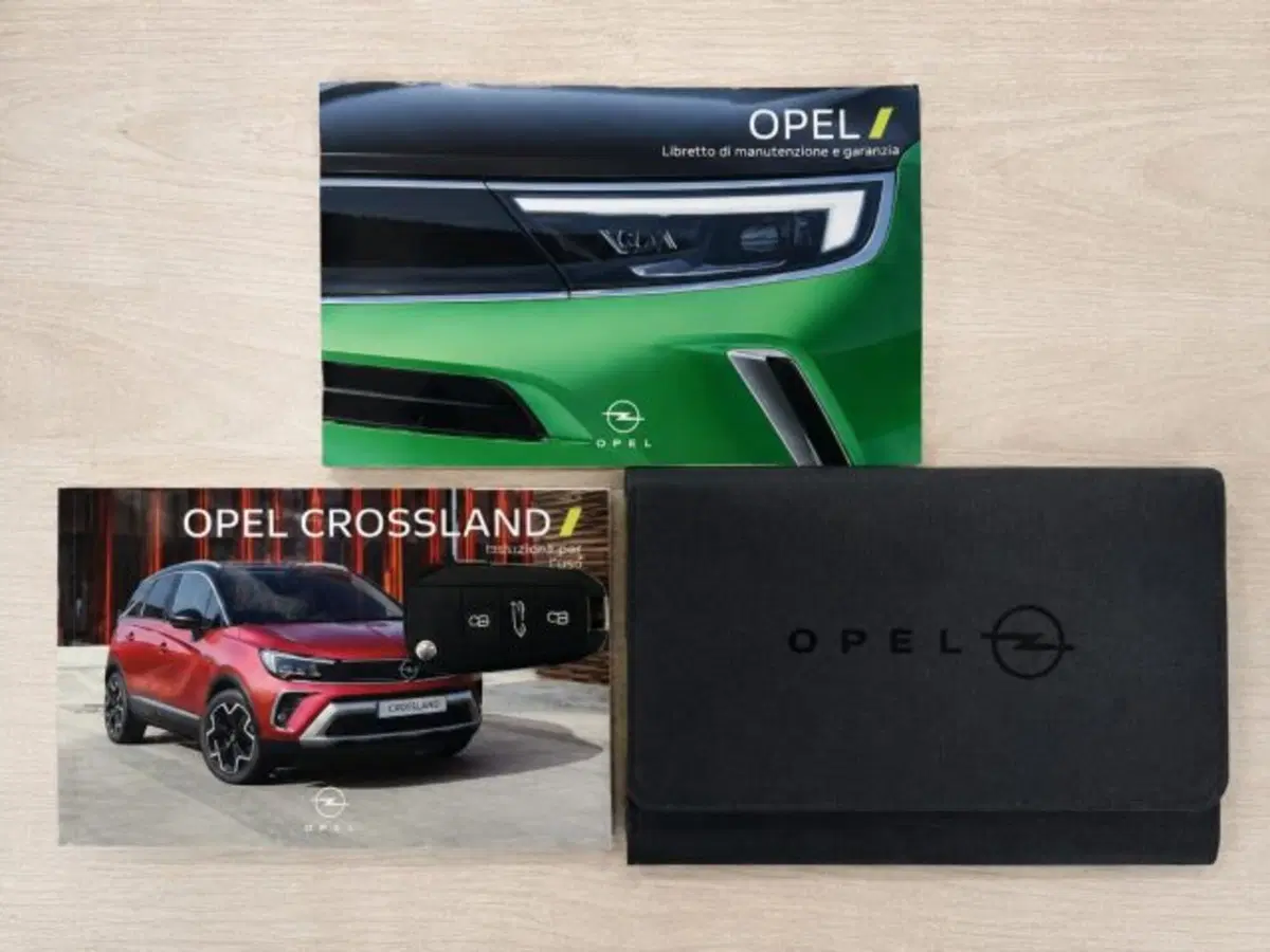 Opel Crossland usata a Firenze (15)