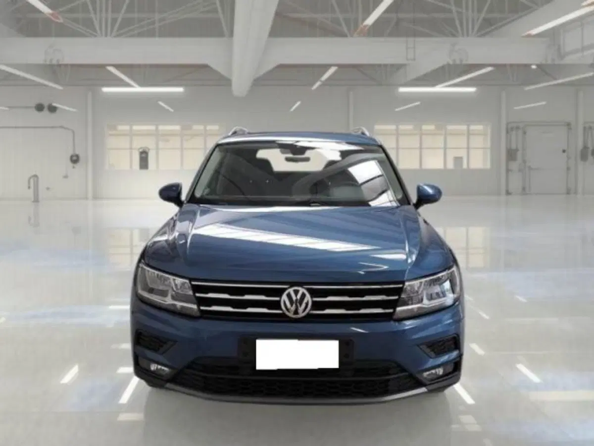 Volkswagen Tiguan usata a Firenze (2)