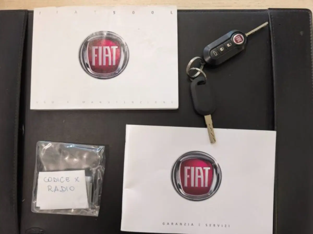 Fiat 500L usata a Firenze (13)