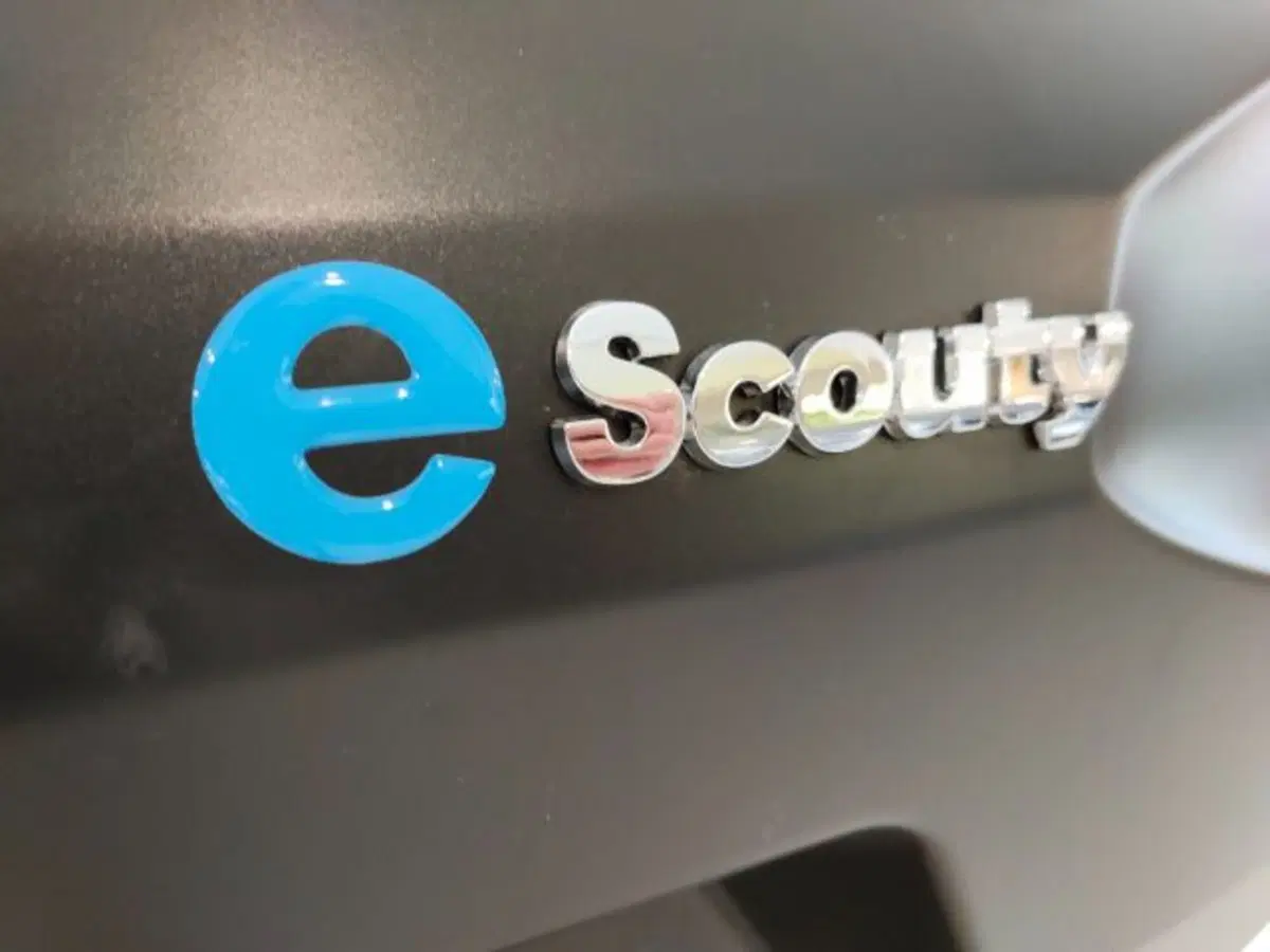 Aixam Mega e Scouty nuova a Firenze (8)
