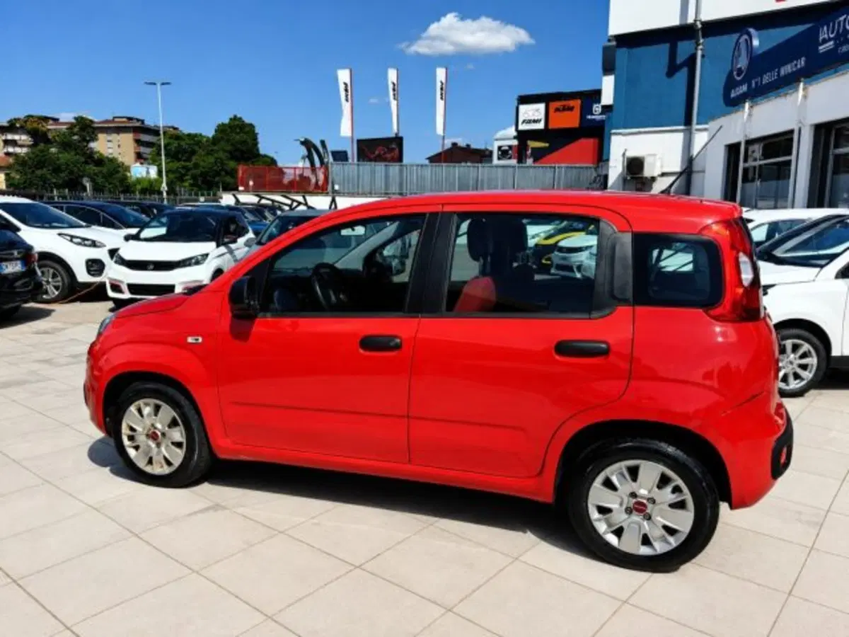 Fiat Panda usata a Firenze (4)