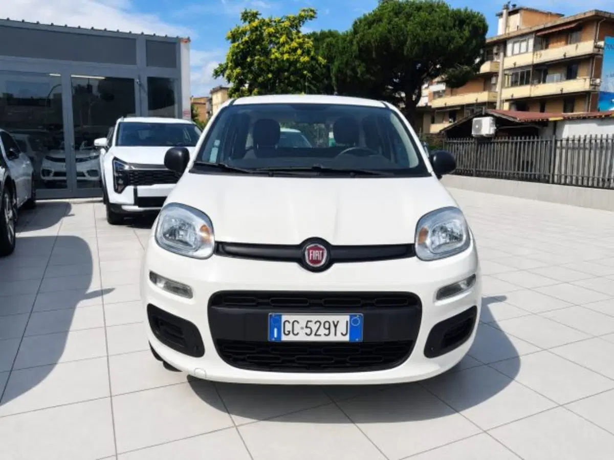 Fiat Panda usata a Firenze (2)