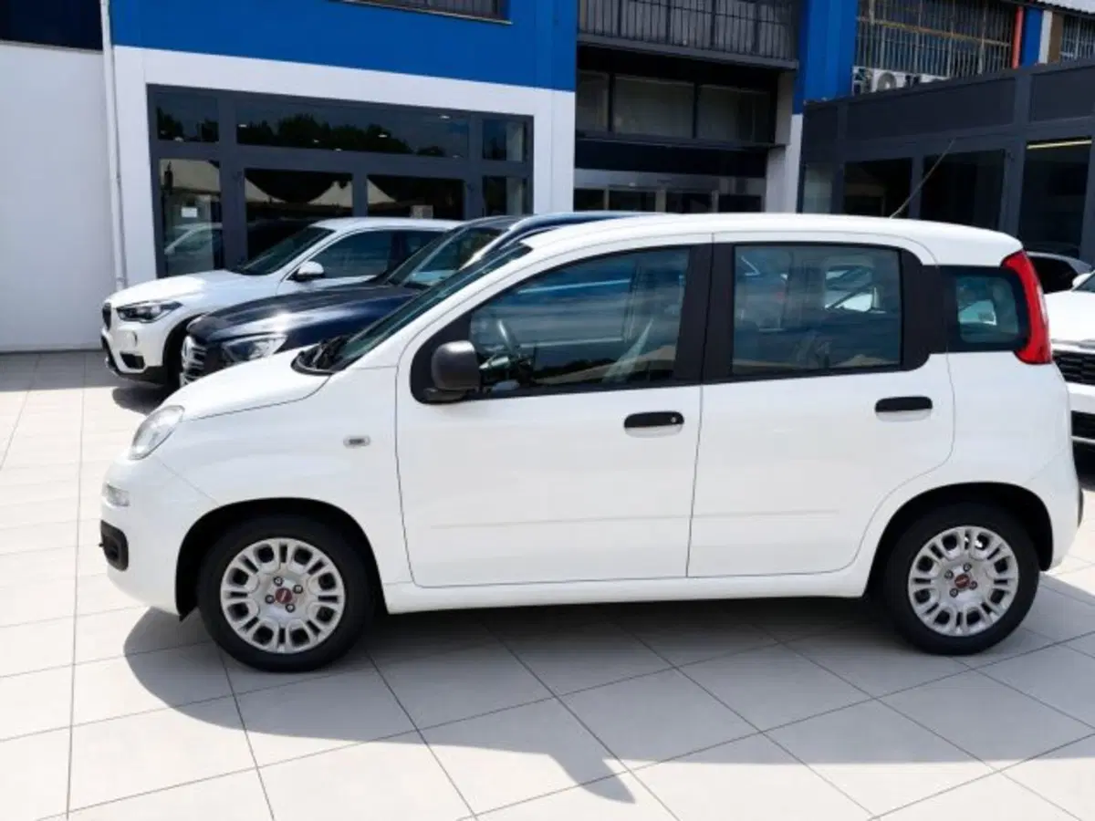 Fiat Panda usata a Firenze (5)