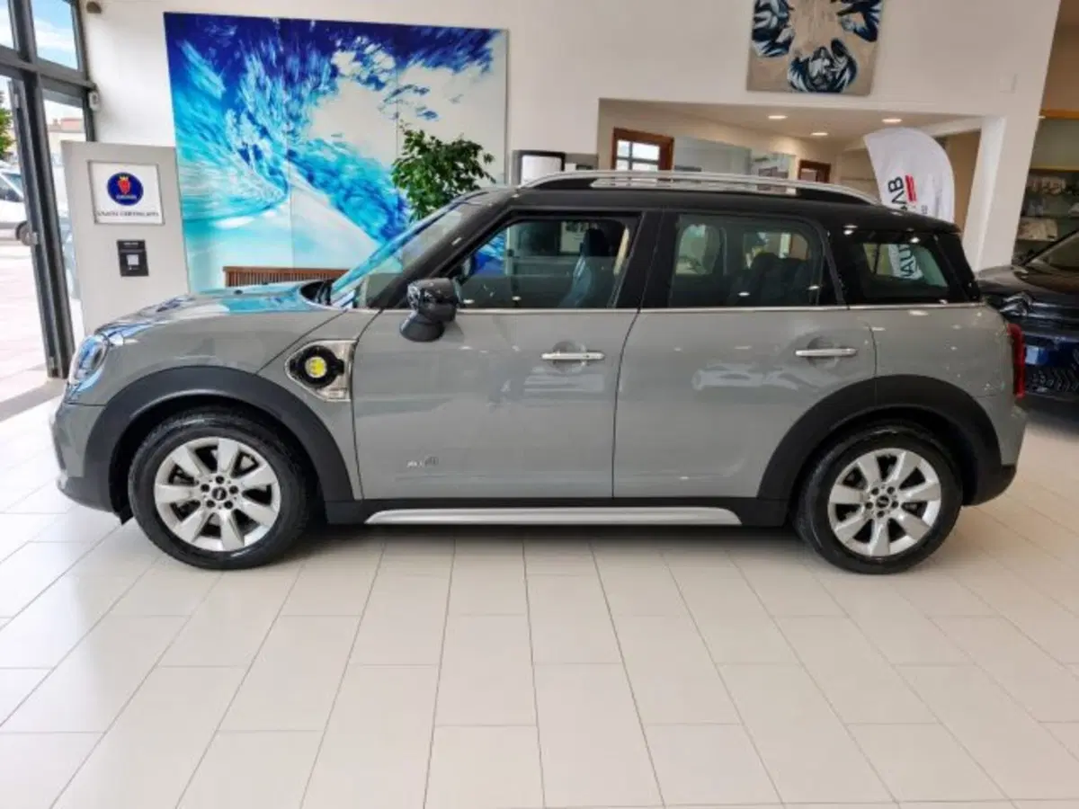MINI Mini Countryman usata a Firenze (4)