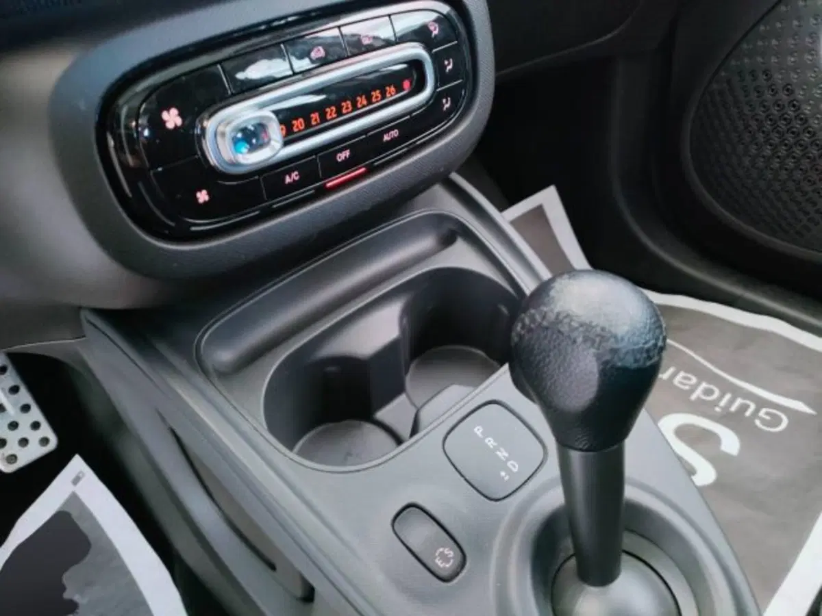 smart forfour usata a Teramo (12)