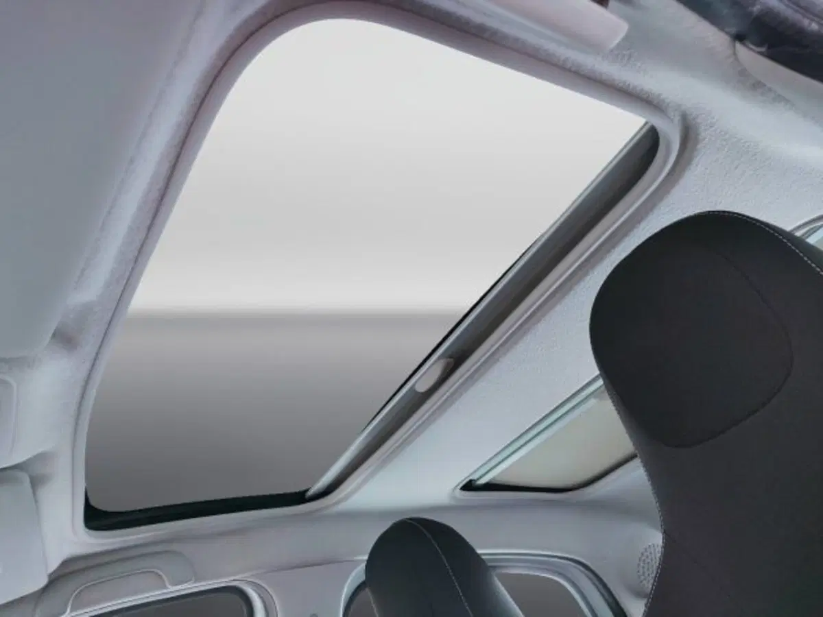 smart forfour usata a Teramo (18)