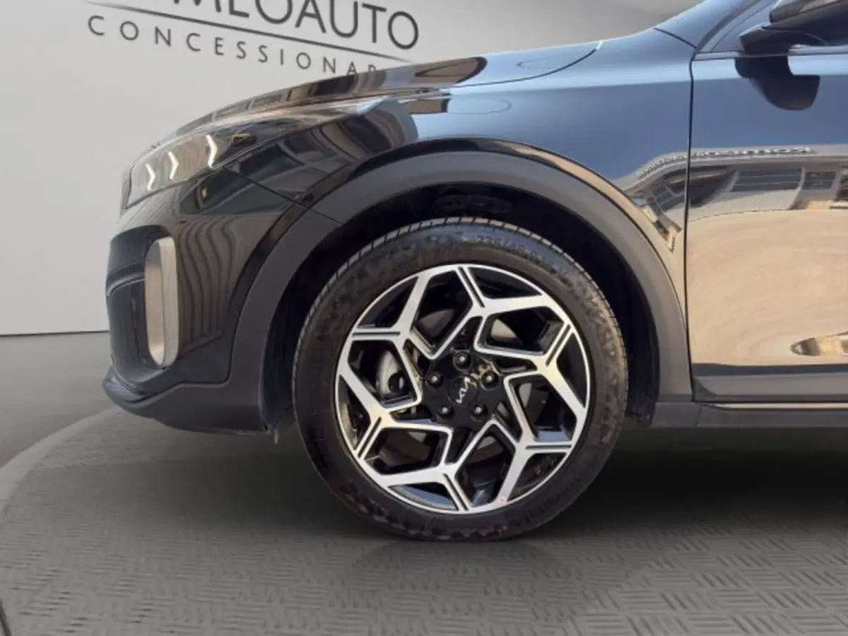 Kia XCeed usata a Perugia (19)