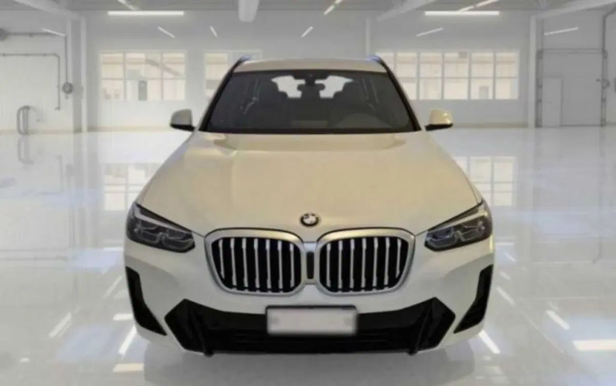 BMW X3 usata a Bologna (6)