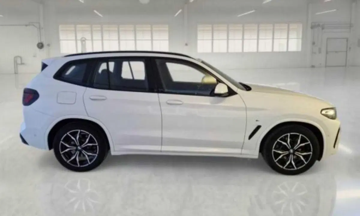BMW X3 usata a Bologna (7)