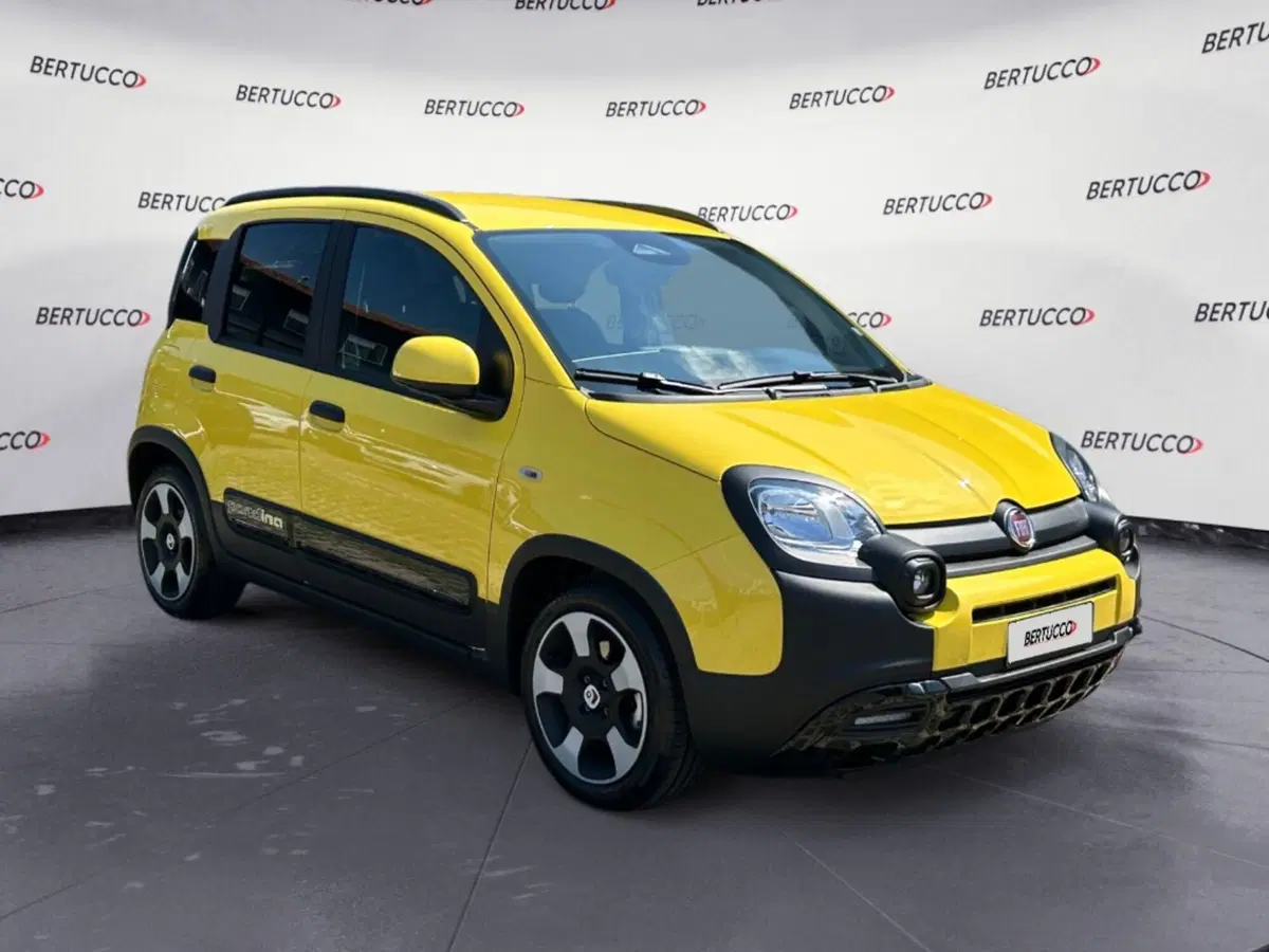 Fiat Pandina usata a Verona