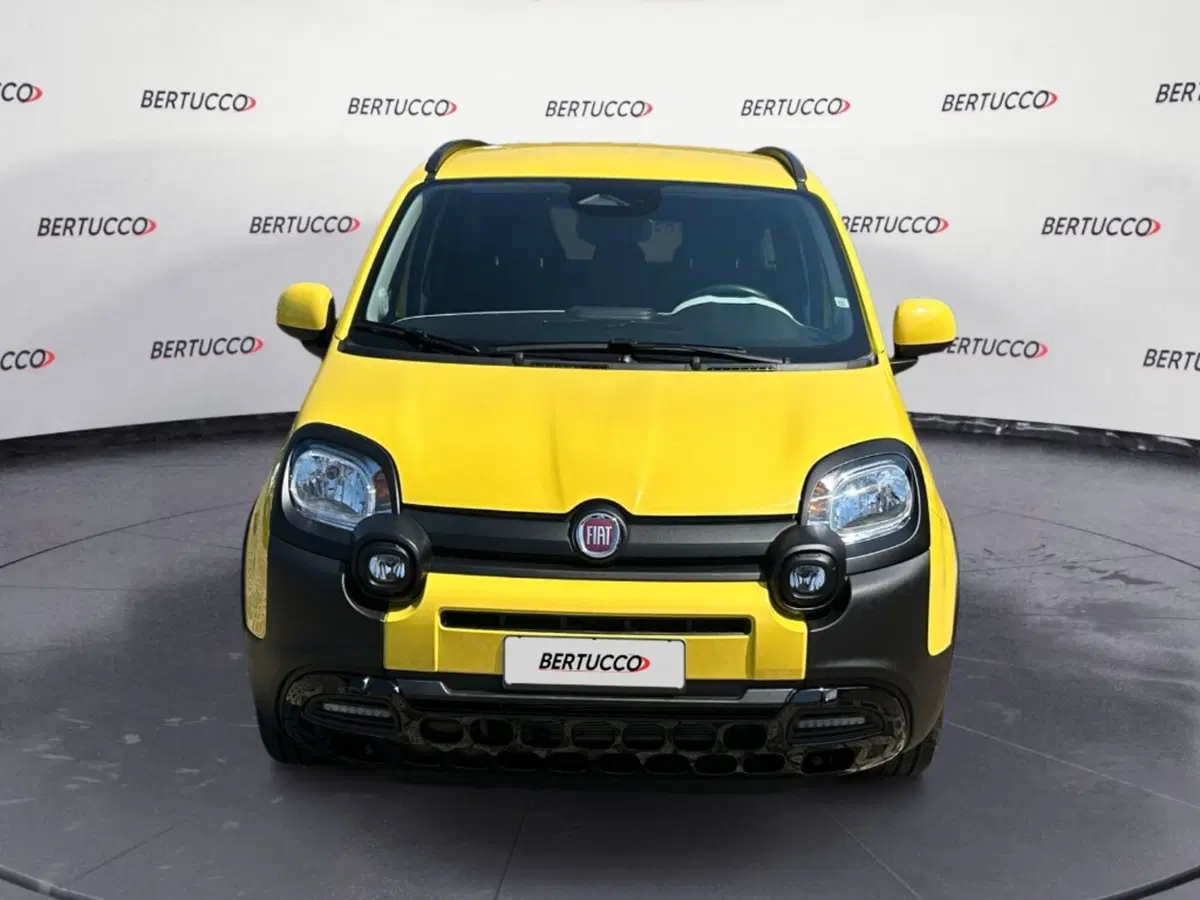 Fiat Pandina usata a Verona (2)