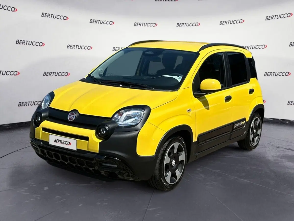 Fiat Pandina usata a Verona (3)