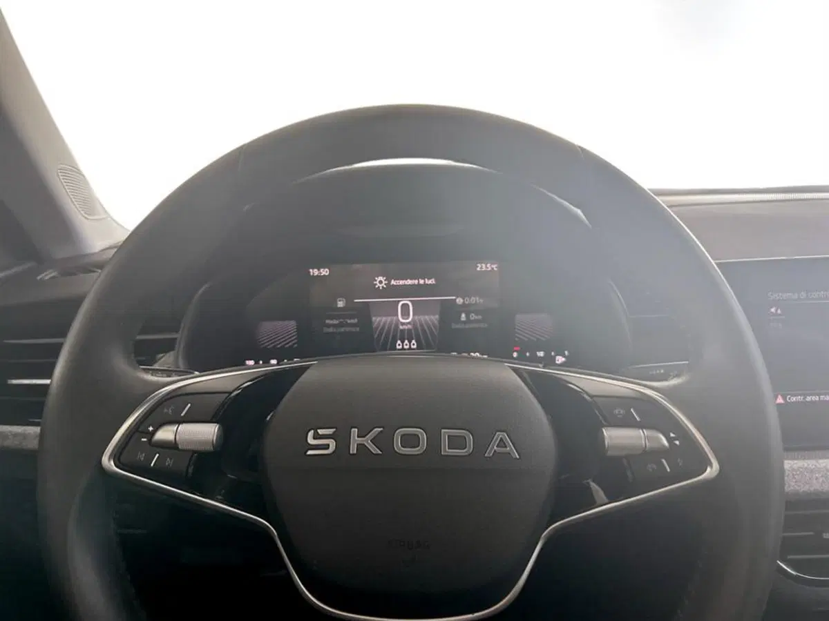 Skoda Kamiq usata a Piacenza (12)