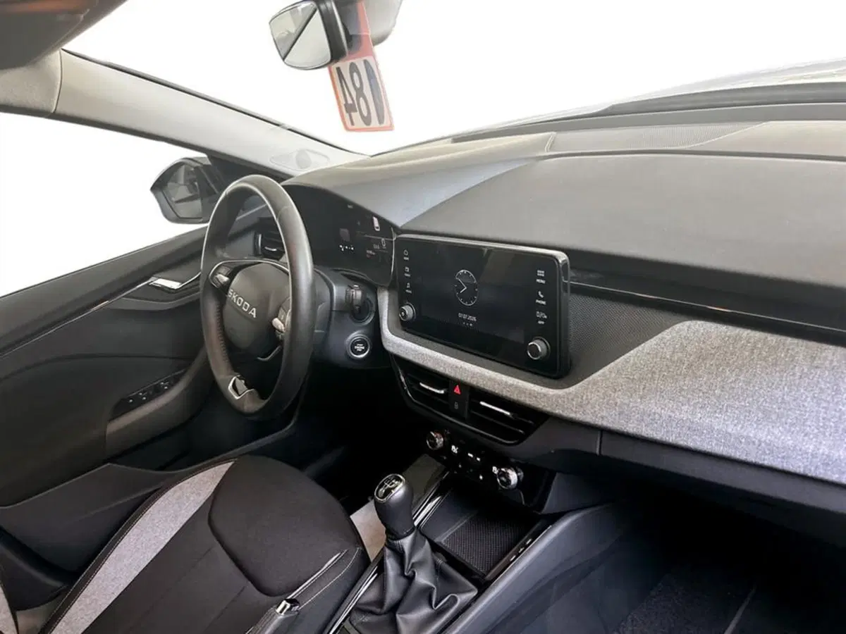 Skoda Kamiq usata a Piacenza (14)
