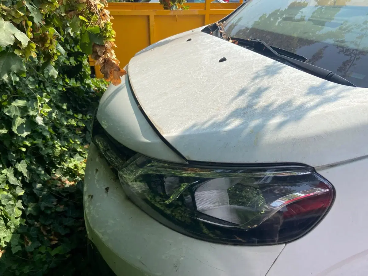 Toyota Proace usata a Piacenza (3)