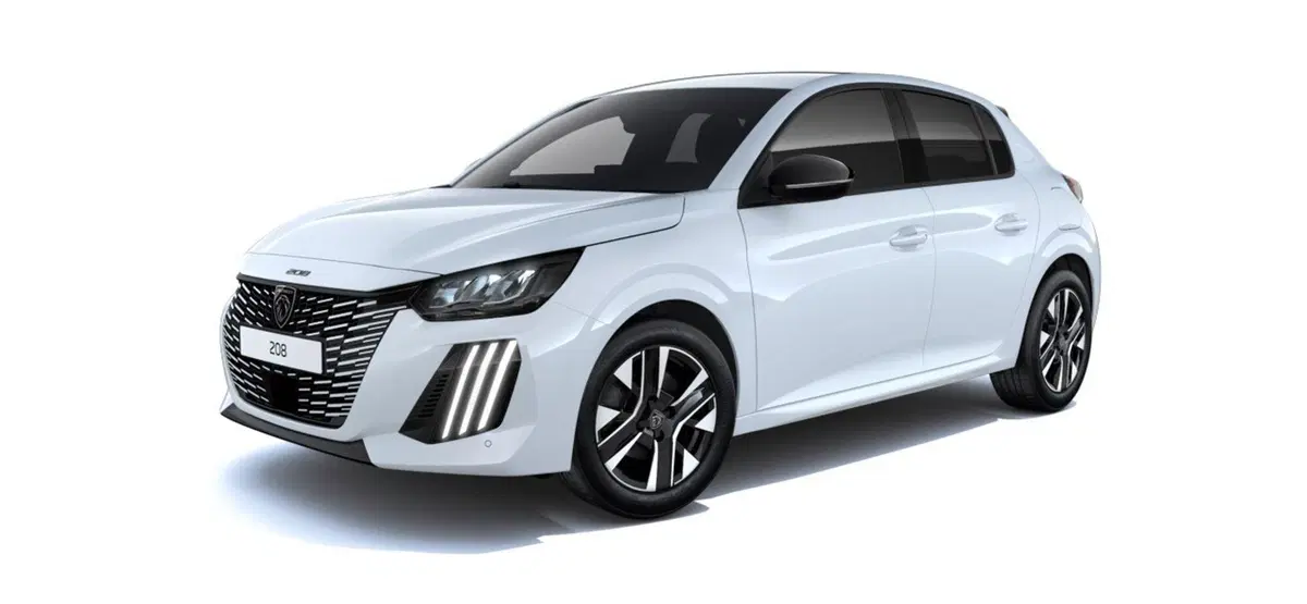Peugeot 208 nuova a Torino