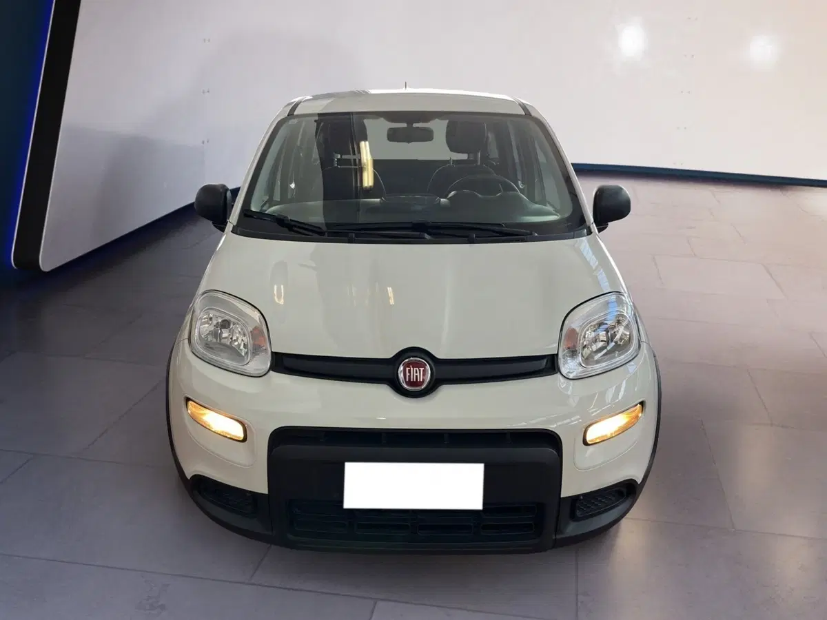 Fiat Panda Cross usata a Torino