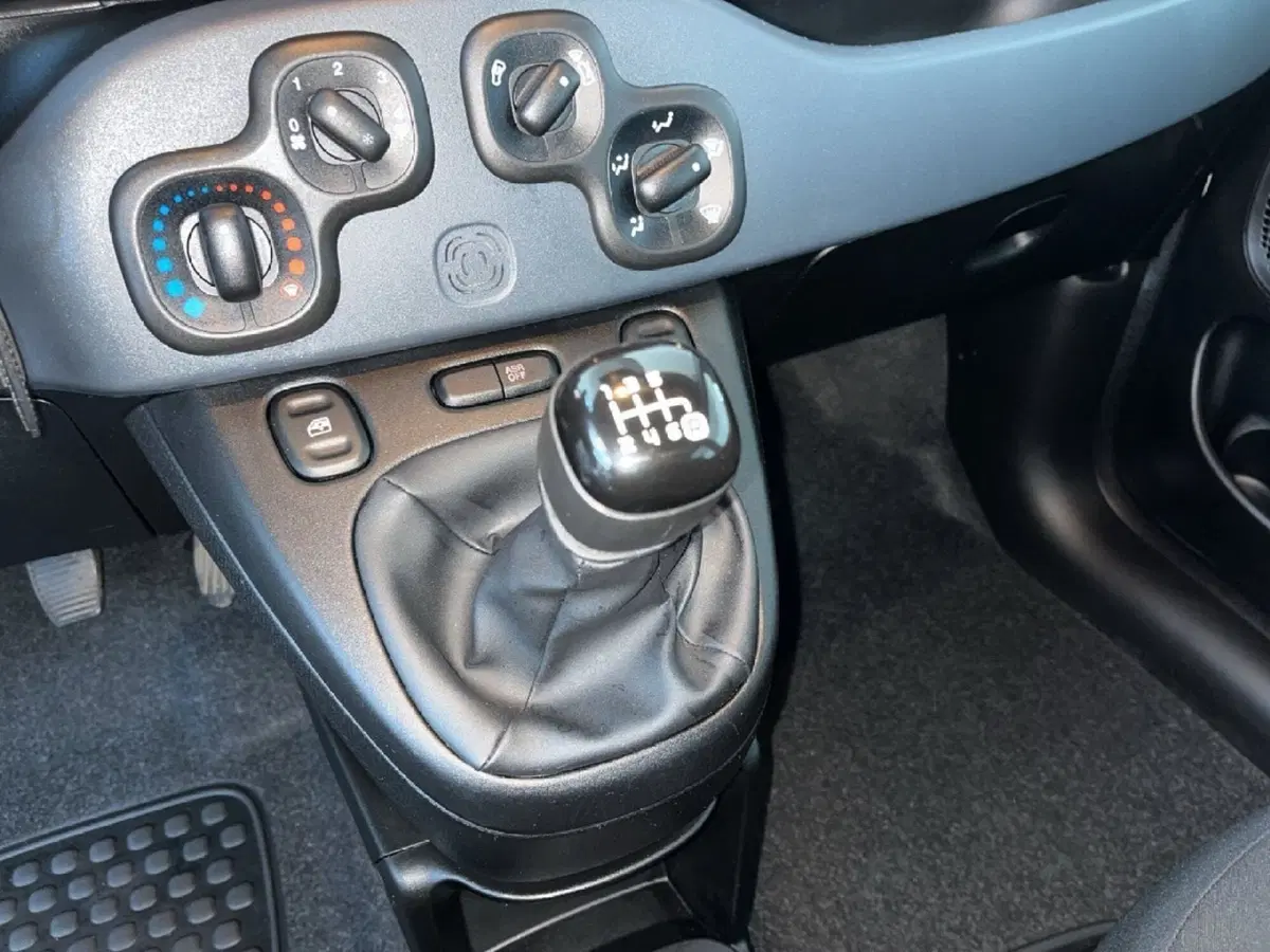 Fiat Panda Cross usata a Torino (11)