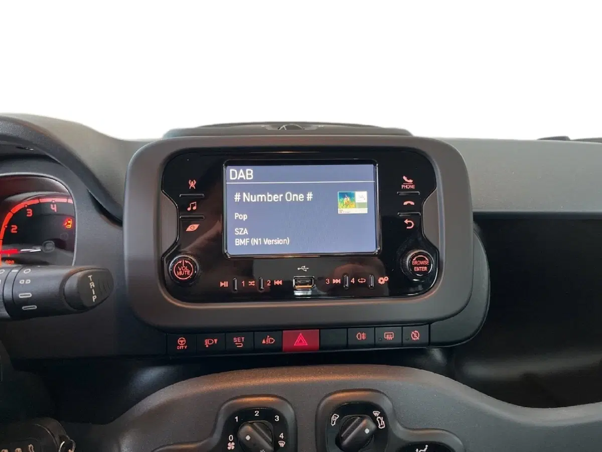 Fiat Panda Cross usata a Torino (12)