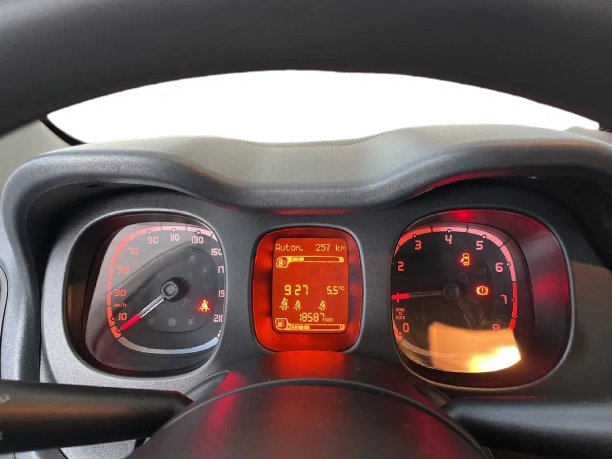 Fiat Panda Cross usata a Torino (13)