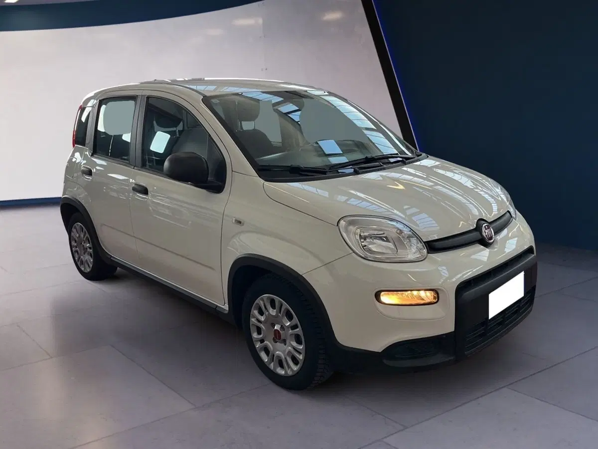 Fiat Panda Cross usata a Torino (2)