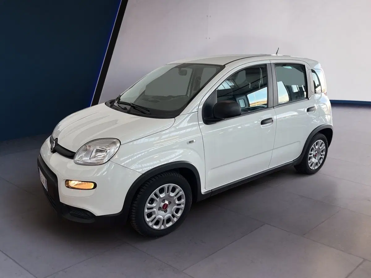 Fiat Panda Cross usata a Torino (3)