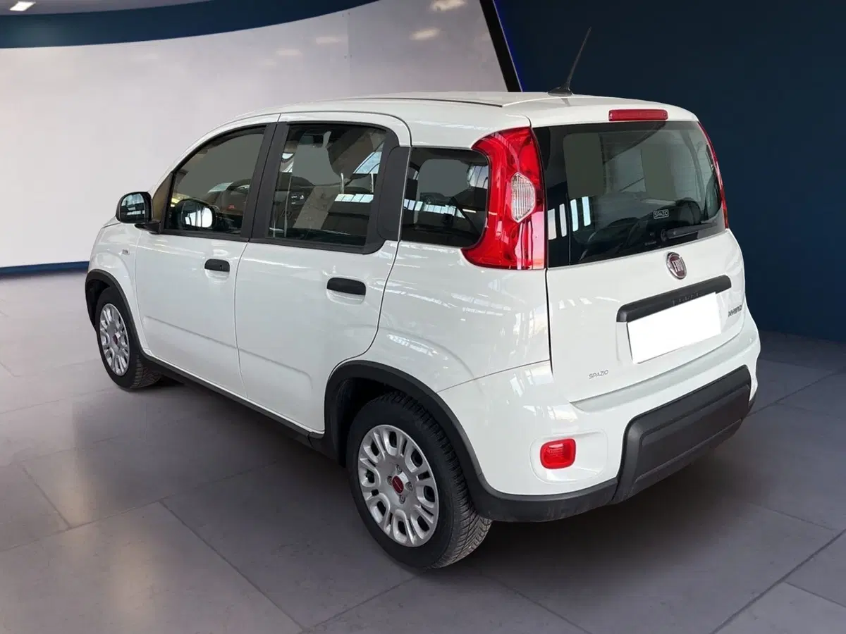 Fiat Panda Cross usata a Torino (4)