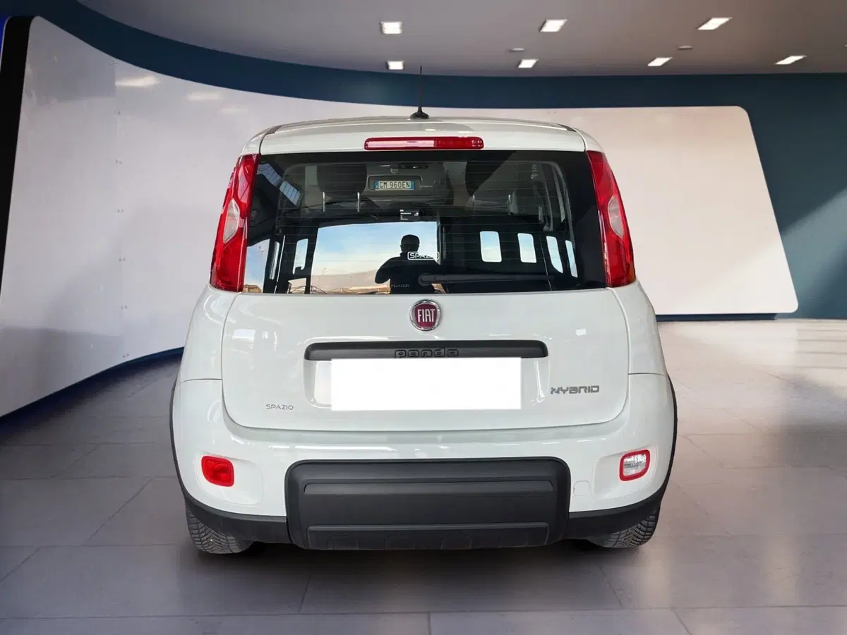 Fiat Panda Cross usata a Torino (5)
