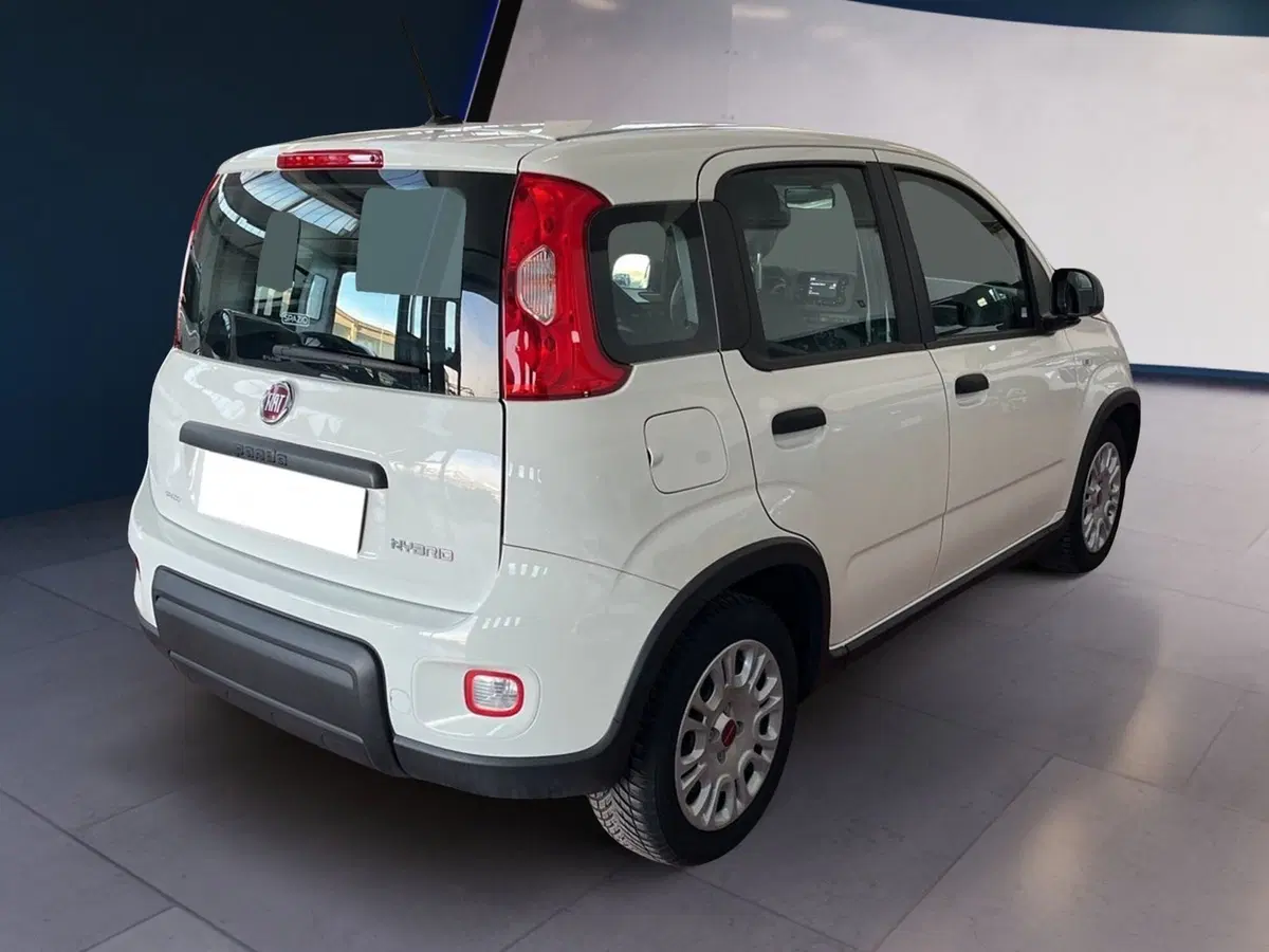 Fiat Panda Cross usata a Torino (6)